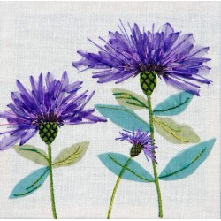 Cornflowers