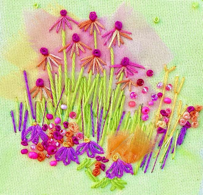 Echinacea "Paradiso"