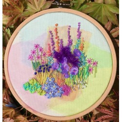 Wallflowers and Osteospermum